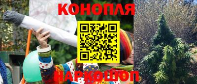прущая мука Гусев