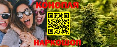 прущая мука Гусев