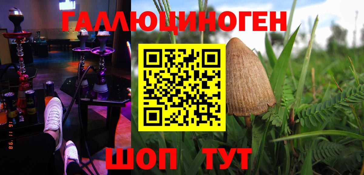 Псилоцибиновые грибы Psilocybine cubensis  Вход с VPN  Назарово 