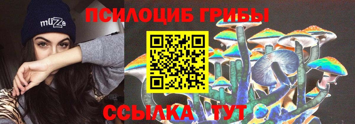 Псилоцибиновые грибы Psilocybe Назарово